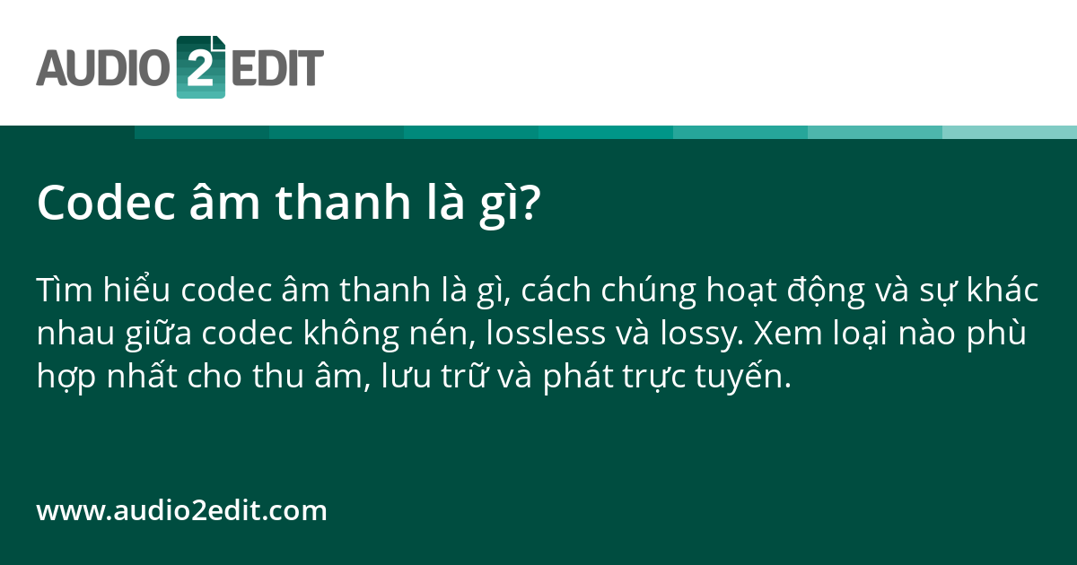 Codec âm thanh là gì?
